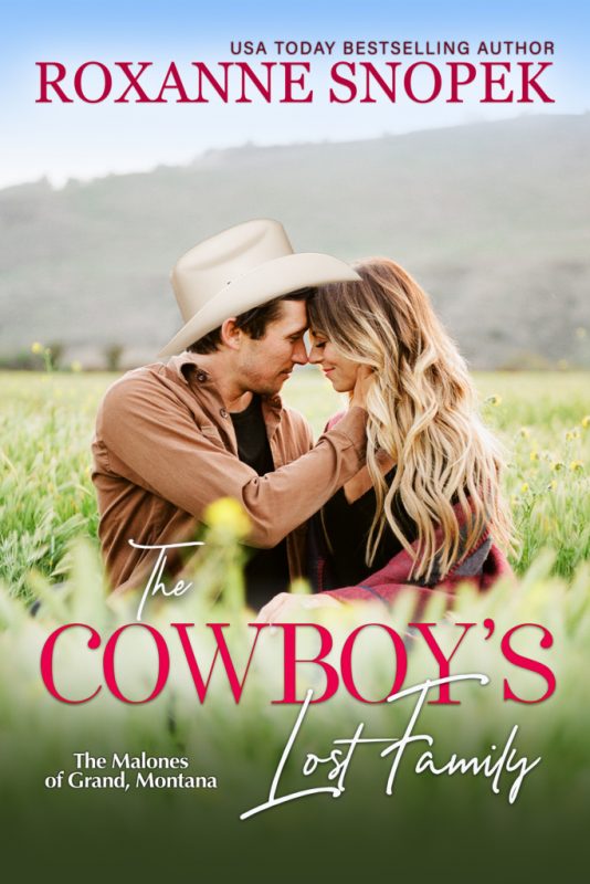 The Cowboy’s Lost Family